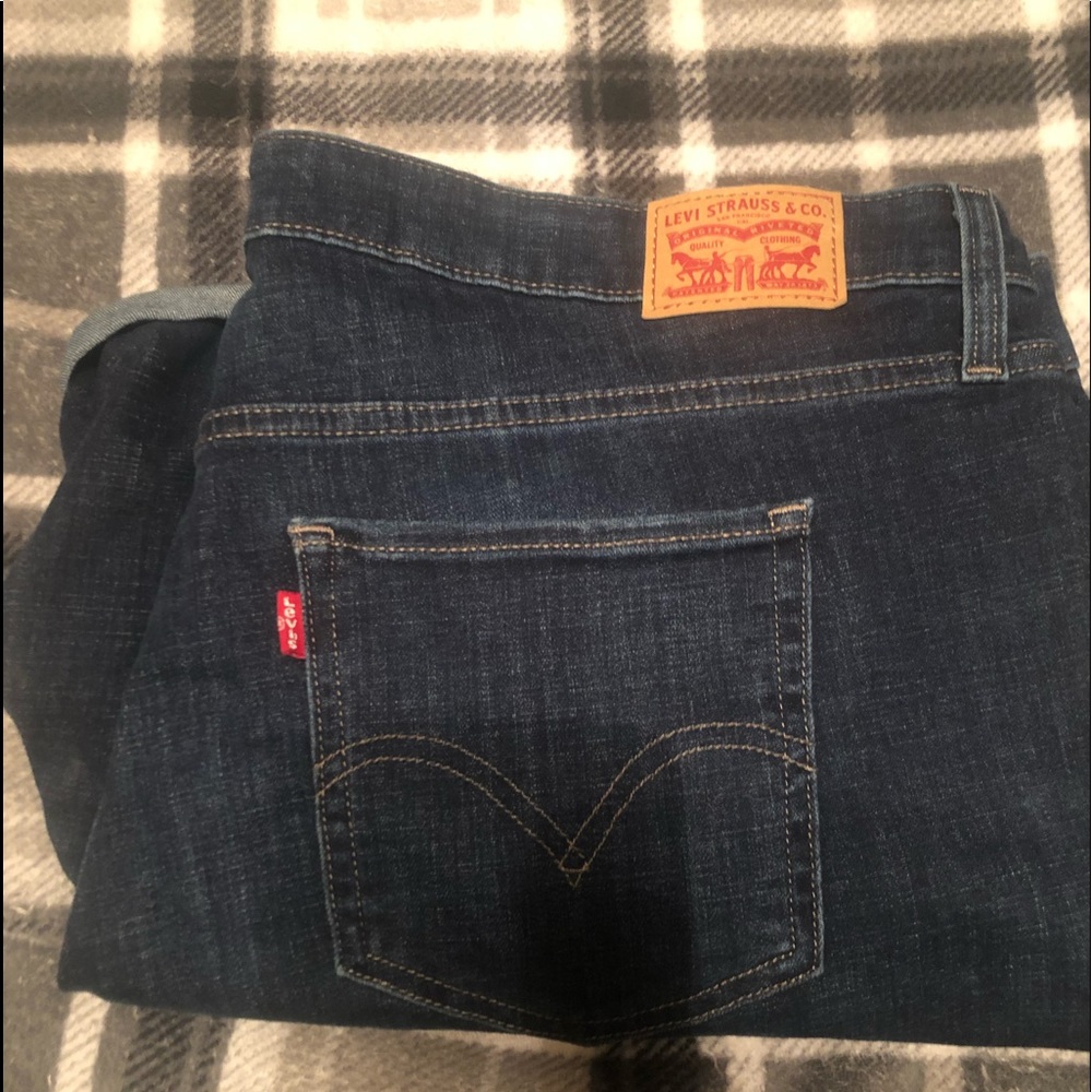 Levi shorts, Women’s size 20